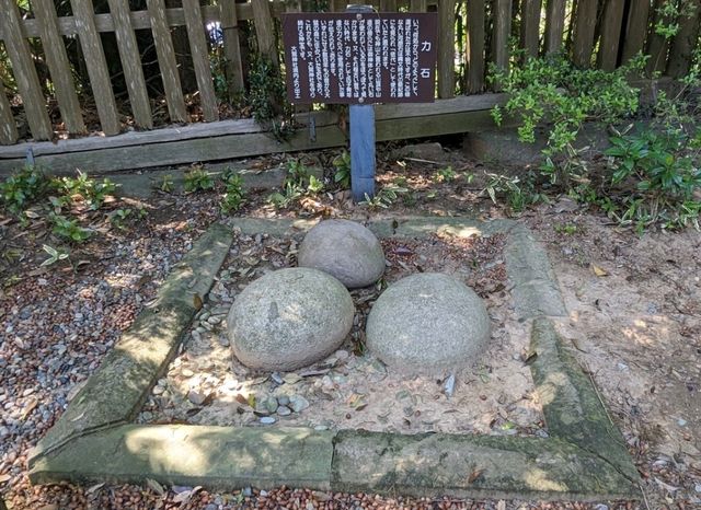 【千葉】日本一の男根像をお祀りする魂生大明神