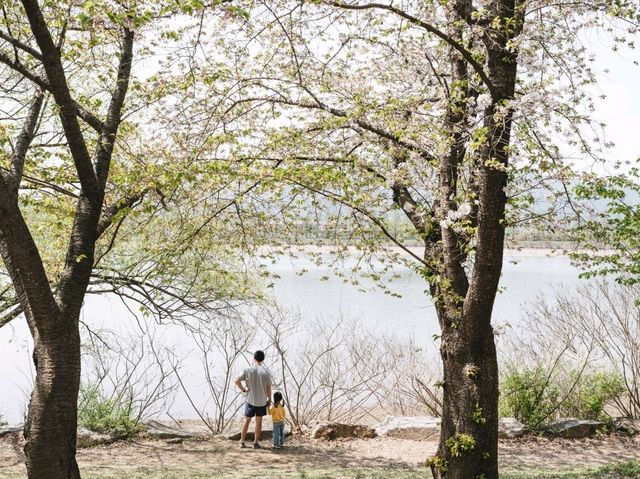 서울대공원의 비밀장소