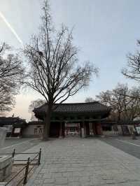 Good eats and well preserved hanok village vibes in low key Jeonju