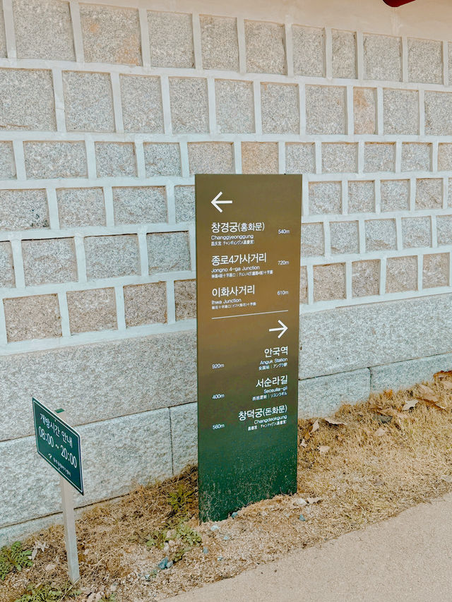 걷기 좋은 덕수궁 돌담길 🌸