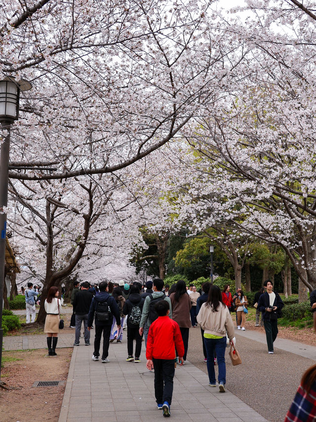 大阪城🌸