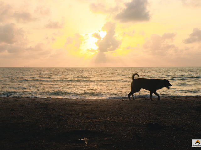 หาดขนอม