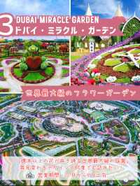季節限定！ドバイでしか味わえない絶景スポット3選