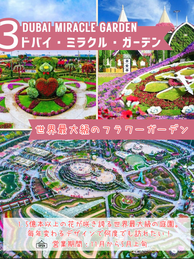 季節限定！ドバイでしか味わえない絶景スポット3選