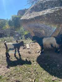 Spring Hiking in Ihlara Valley