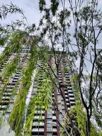 “Sustainably Serene – LaLaport Rooftop Retreat”