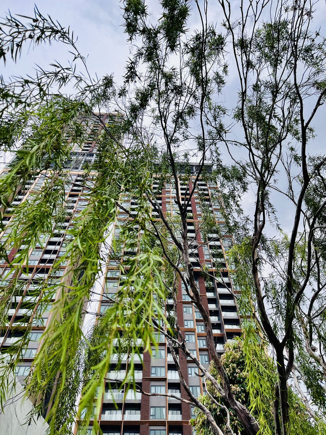 “Sustainably Serene – LaLaport Rooftop Retreat”