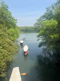 Tortoise Pond– Hangzhou's Hidden Lakeside Sanctuary