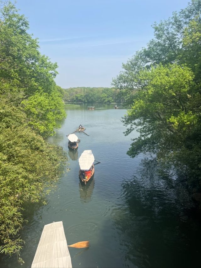 Tortoise Pond– Hangzhou's Hidden Lakeside Sanctuary