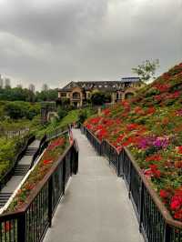 Shenzhen Yulong Park– A Hidden Oasis in the Urban Jungle