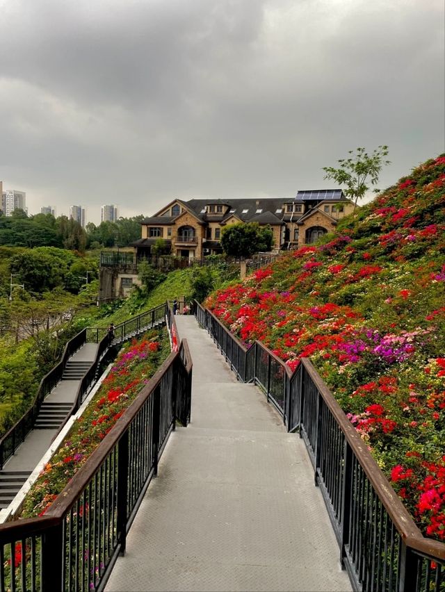 Shenzhen Yulong Park– A Hidden Oasis in the Urban Jungle