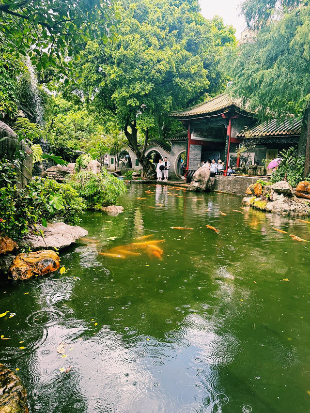 交通方便的嶺南園林🫧