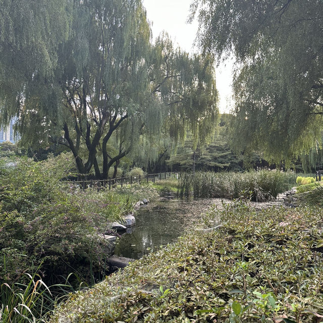 【ソウル】🇰🇷 ヨンサン家族公園