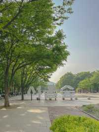 서울 도심 속 튤립 정원🎨🌷