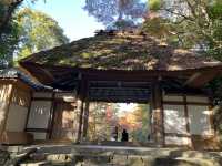 【安楽寺と六華苑｜和と洋の美に触れる三重の名所めぐり】