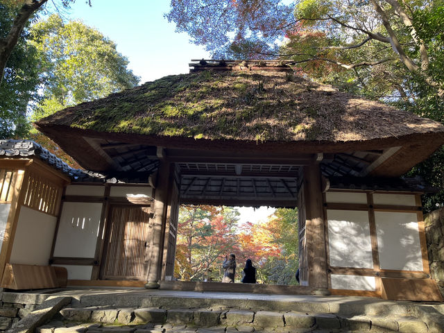 【安楽寺と六華苑｜和と洋の美に触れる三重の名所めぐり】