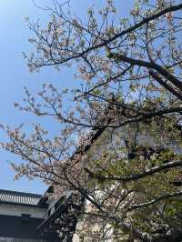 日本四國