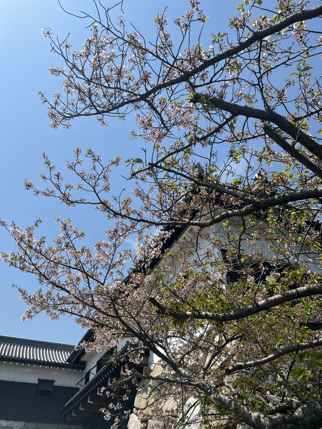 日本四國
