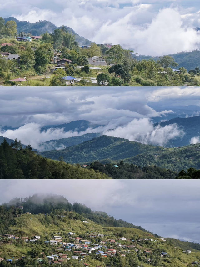 Kinabalu National Park Day Trip 🌿｜Kundasang Adventure + Paragliding + Dairy Farm 