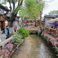 พาเดิน เมืองโบราณ Lijiang Ancient Town🇨🇳