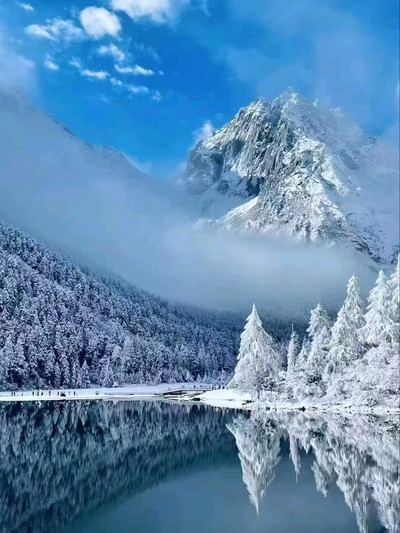 コレクション snowing mountains Winter collage. collection of cold weather landscapes with m