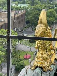 【大阪】日本の歴史と深い関わりを持つ大阪城