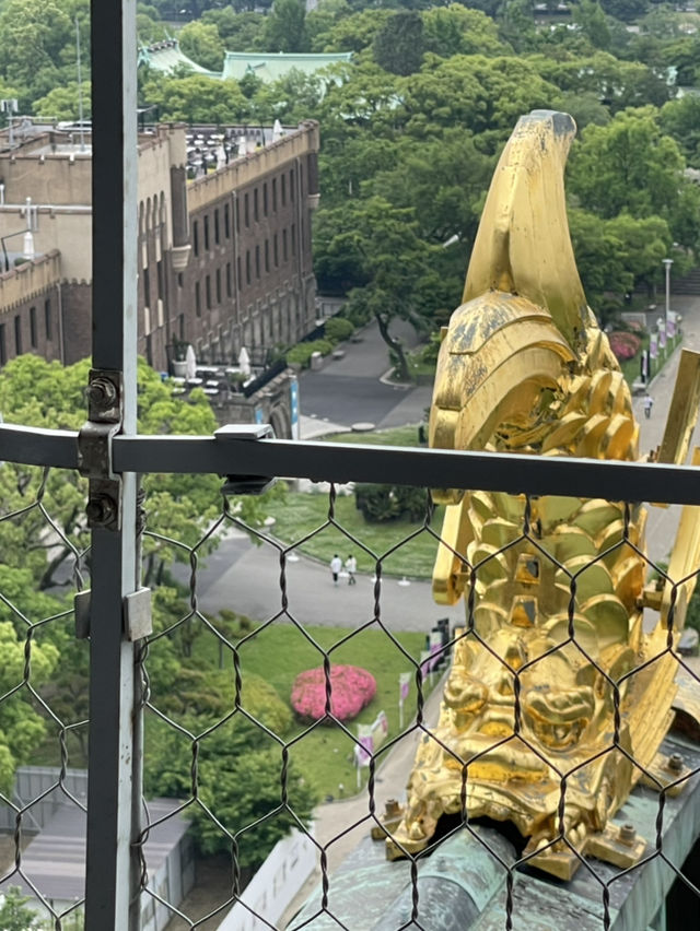 【大阪】日本の歴史と深い関わりを持つ大阪城