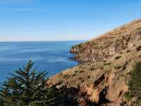 Exploring History and Coastline: Godley Head Park Adventure⛰️