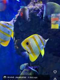 Underwater world langkawi