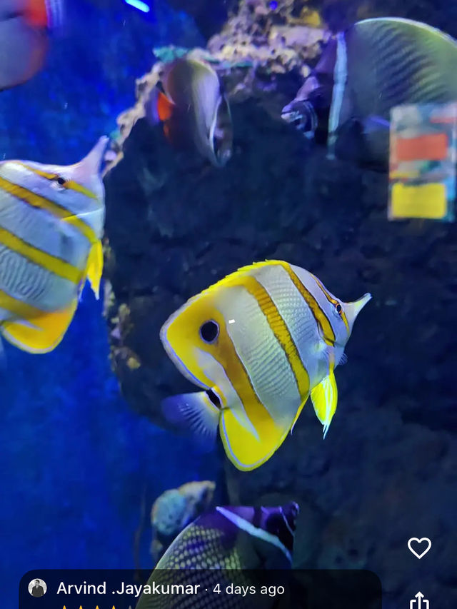 Underwater world langkawi