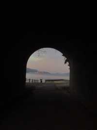 【うさぎ島】大久野島で癒される🐰