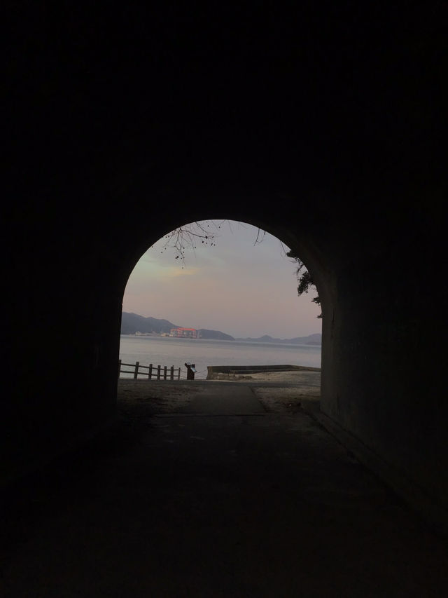 【うさぎ島】大久野島で癒される🐰