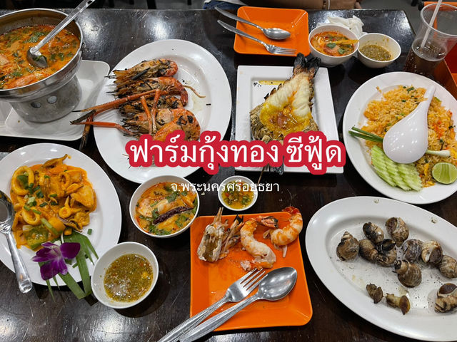 ฟาร์มกุ้งทอง ซีฟู๊ด จ.อยุธยา