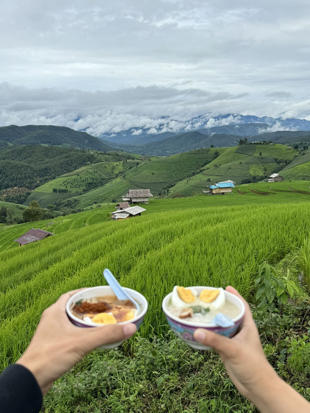 ที่พักบ้านป่าบงเปียง จ.เชียงใหม่ 🏡⛰️🌦️🌾