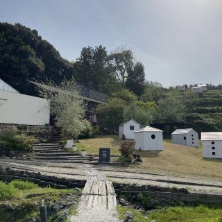 Recommended Tourist Spots in Shizuoka