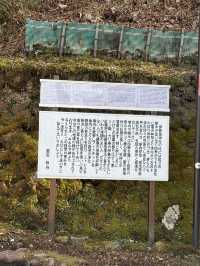  伊香保温泉の守り神「伊香保神社」—石段の頂上で願いを込める旅