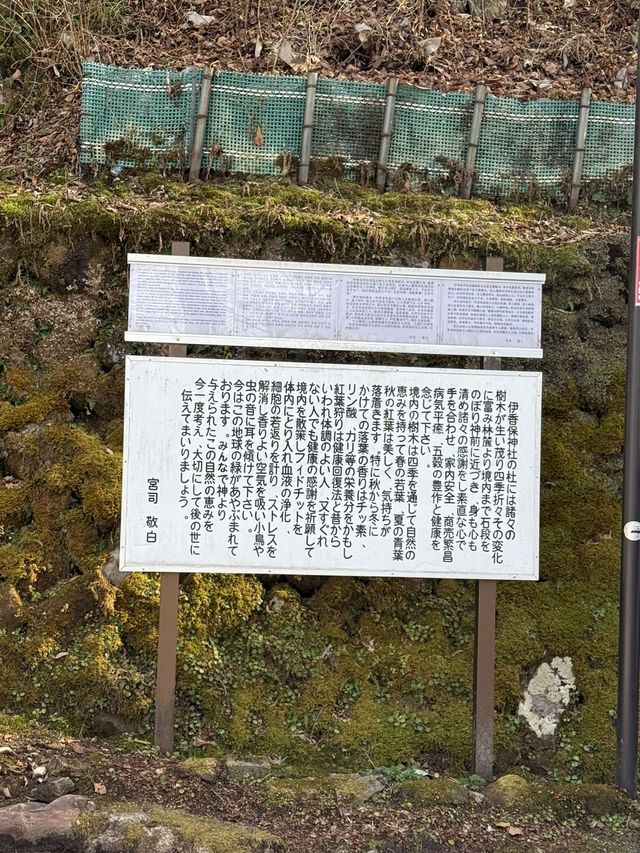  伊香保温泉の守り神「伊香保神社」—石段の頂上で願いを込める旅