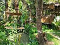 คาเฟ่ในสวนมะพร้าว บ้านสวนพาฝัน