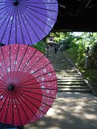 【栃木】紫陽花の人気スポット 仁王門と紫陽花、花手水など