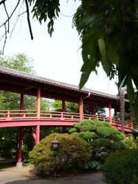 【茨城】赤字に金色の龍の彫刻 の本殿