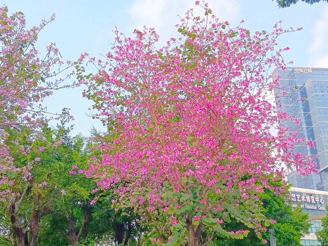 Guiwan (桂湾公园) สวนสาธารณะกุ้ยวาน