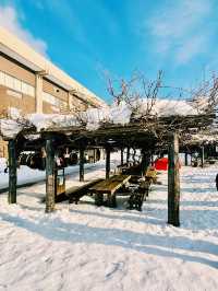 【北海道】男山清酒公園、酒造資料館：展示傳統日本酒文化，融合現代元素
