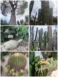 植物種類繁多的廈門園林植物園