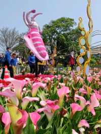 #桃園彩色海芋季-桃園市大園區