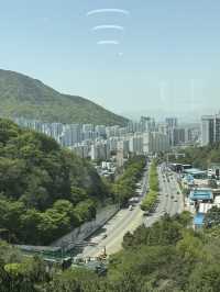 부산 산뷰 도시뷰 맛집 알려드릴게요 🏢🌳🩵
