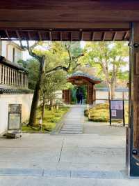 Tranquility in Kyoto – A Temple Garden Stroll