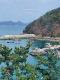 돌산에서 통유리 바다뷰를 찾는다면 여긴 저장하세요