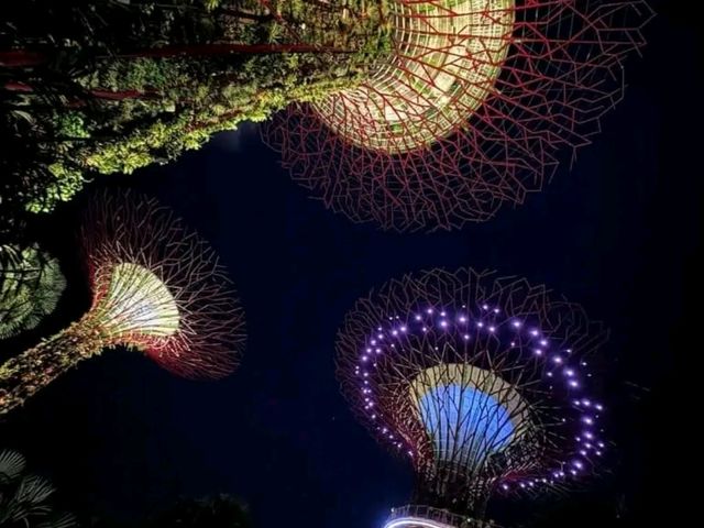 A Walk Through the Future: Exploring Gardens by the Bay, Singapore