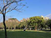 台北大安森林公園の繡球花仙境｜免費打卡＋偶遇松鼠小驚喜🐿️