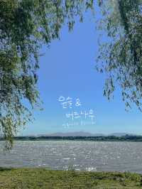 오월은 피크닉 계절: 부산 피크믹